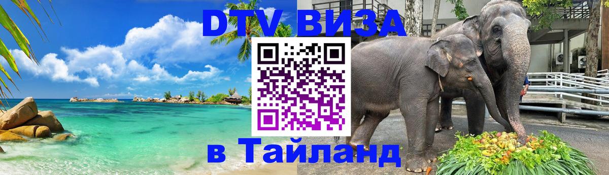 Оформление DTV визы под ключ: стоимость и тарифы, только загранпаспорт - 06.12.2025 